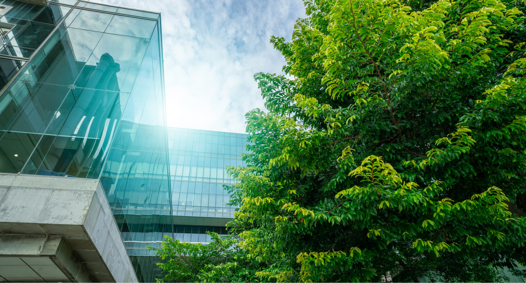 Exterior of a modern building with a glass facade and trees, symbolizing sustainability and urban development.